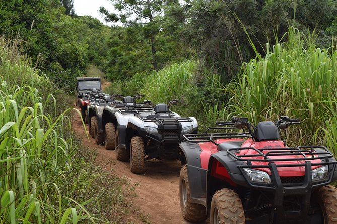 West Maui Mountains ATV Adventure - A Mountain-to-Ocean Route in 90 Minutes