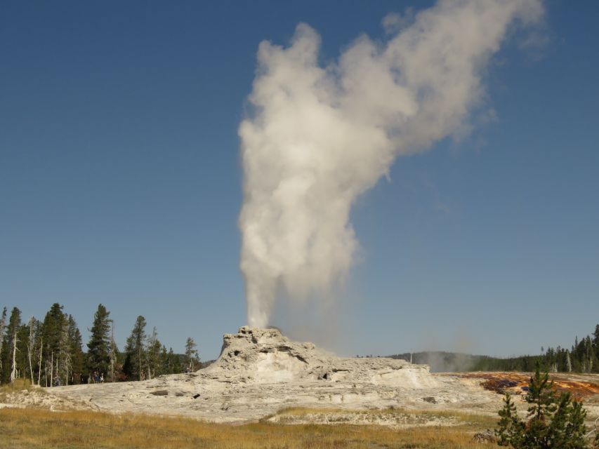 West Yellowstone: Yellowstone Day Tour Including Entry Fee - Who should book, and who should plan another way