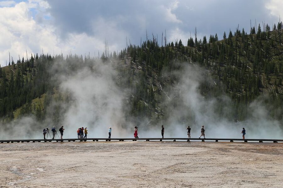 West Yellowstone: Yellowstone Day Tour Including Entry Fee - Hayden Valley and Yellowstone wildlife