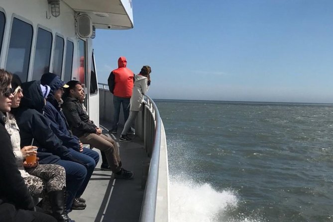 Whale and Dolphin Watching Cruise from Cape May - The value of the $45 ticket