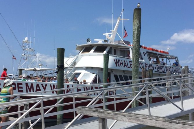 Whale and Dolphin Watching Cruise from Cape May - Who will enjoy this Cape May cruise