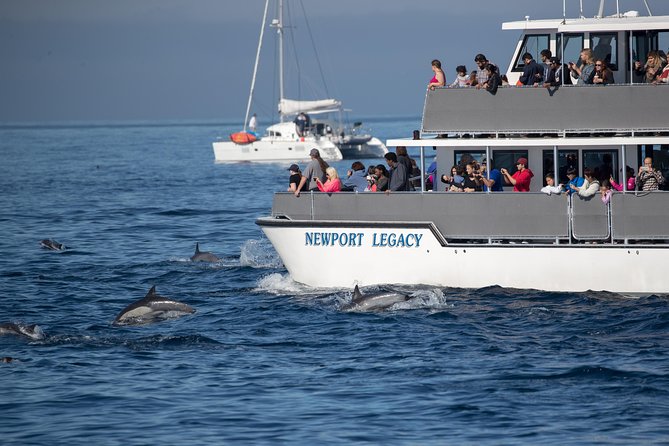 Whale-Watching Cruise from Newport Beach - Leaving Newport Harbor for the Pacific