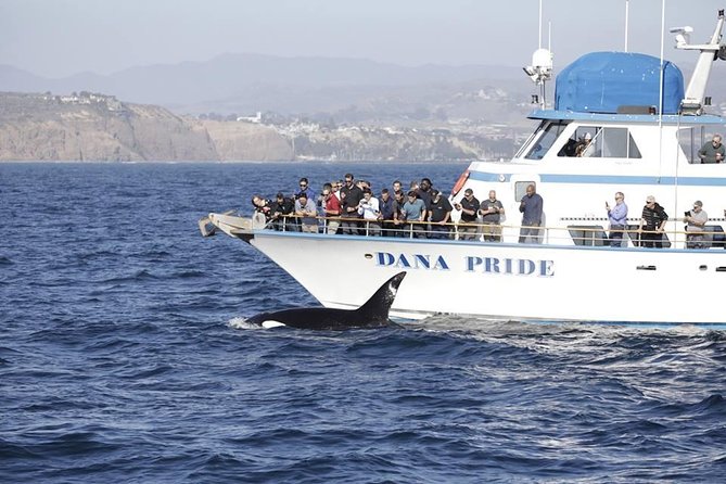 Whale Watching Excursion in Dana Point - Who will enjoy this Dana Point outing most?