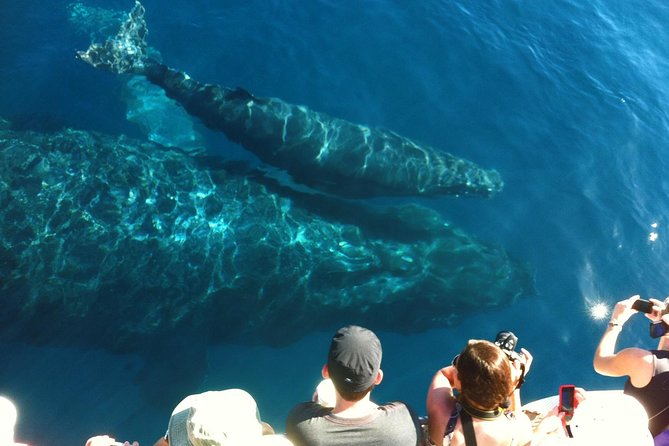 Whale Watching from Ma'alaea Harbor - Leaving Maalaea Harbor for Mauis humpback waters
