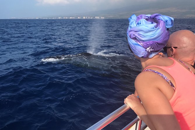 WHALES GUARANTEED Maui Whale Watching Makai Adventures - Key points before you book