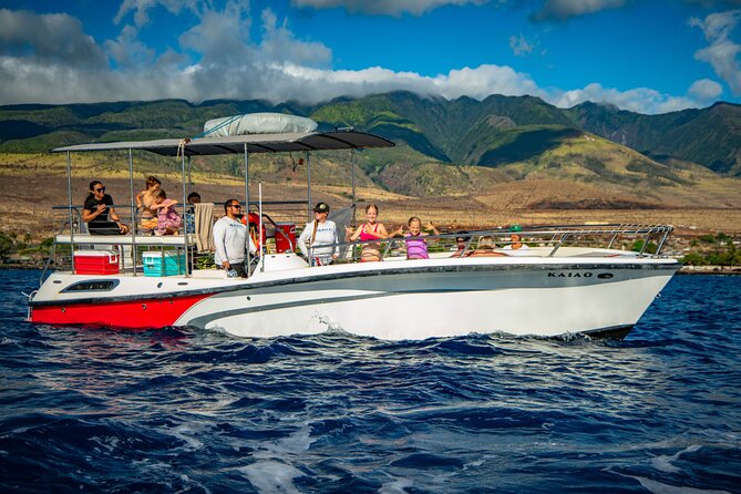 WHALES GUARANTEED Maui Whale Watching Makai Adventures - Comfort, shade, weather, and photography