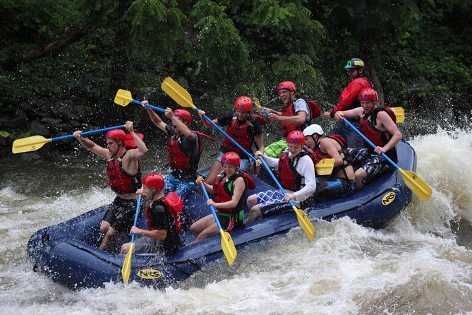 White Water Rafting Experience on the Upper Pigeon River - Key points before you book