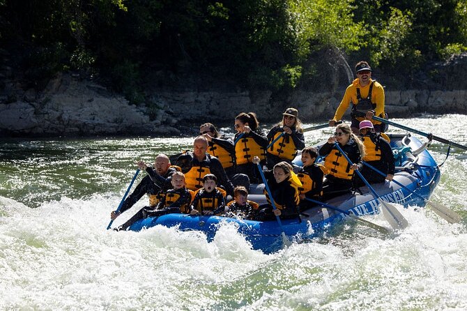 Whitewater Rafting in Jackson Hole : Family Standard Raft - From downtown Jackson to the Snake River