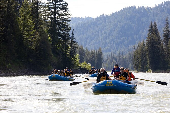 Whitewater Rafting in Jackson Hole : Family Standard Raft - Reading the rapids: Lunch Counter, Big Kahuna, and Champagne