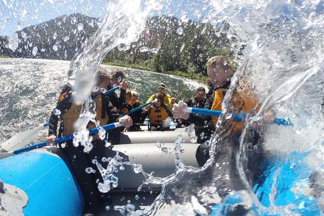Whitewater Rafting in Jackson Hole : Family Standard Raft - Who should book this Snake River trip?