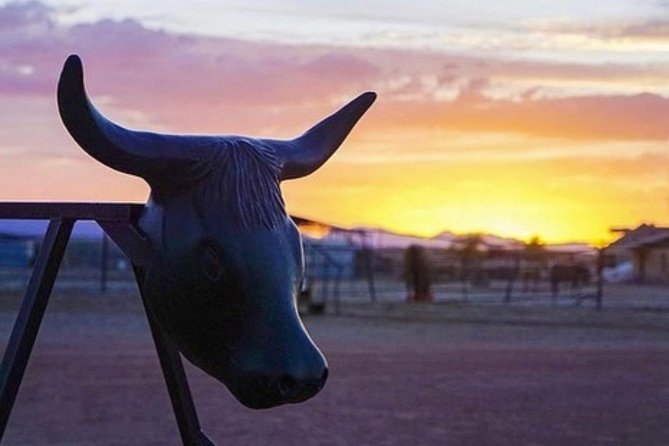 Wild West Sunset Horseback Ride with Dinner from Las Vegas - Sunset from the saddle