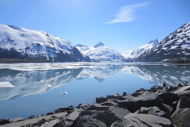 Wildlife and Glaciers with a walk in the Rainforest - The guides can shape the whole day