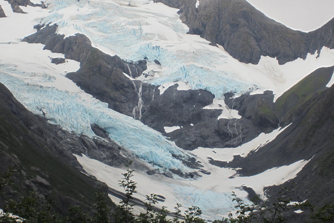 Wildlife and Glaciers with a walk in the Rainforest - Who will get the most from this tour