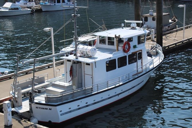 Wildlife Viewing, Sightseeing and Whale Watching Quest - Metlakatla, bald eagles, and Walden Rocks