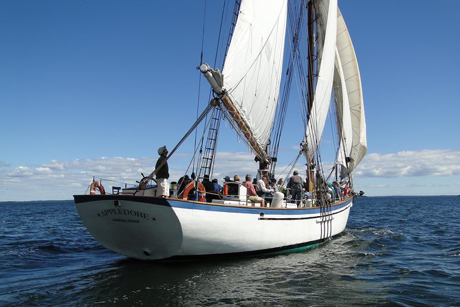 Windjammer Classic Day Sail from Camden, Maine - Sailing the Appledore II from Bayview Landing
