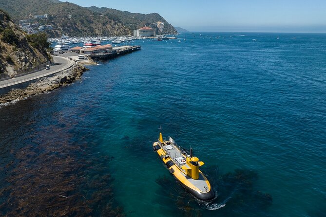 Yellow Semi-Submarine Tour of Catalina Island From Avalon - Key points to know before you board