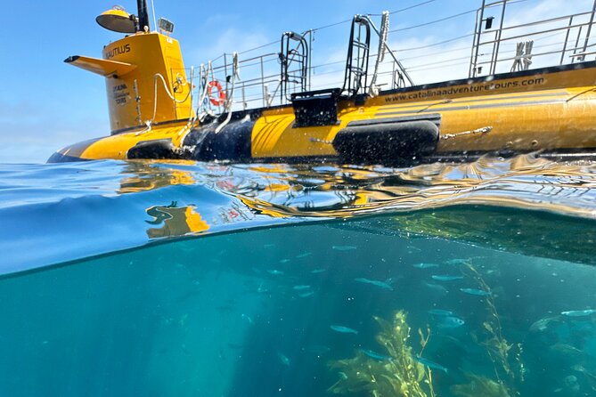 Yellow Semi-Submarine Tour of Catalina Island From Avalon - Getting to the Green Pleasure Pier in Avalon