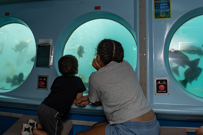 Yellow Semi-Submarine Tour of Catalina Island From Avalon - Lovers’ Cove and the protected marine area