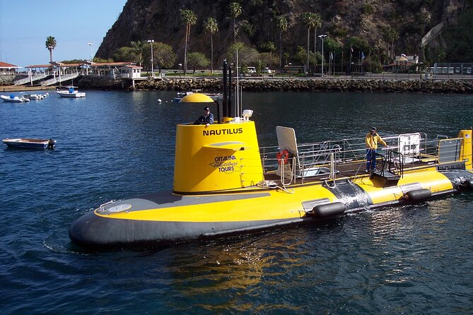 Yellow Semi-Submarine Tour of Catalina Island From Avalon - Returning to Avalon on the top deck