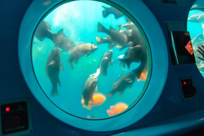 Yellow Semi-Submarine Tour of Catalina Island From Avalon - Descending six feet below the surface