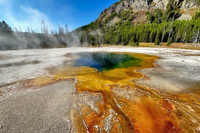 Yellowstone Lower Loop Full-Day Tour - Why the Lower Loop works well in one day