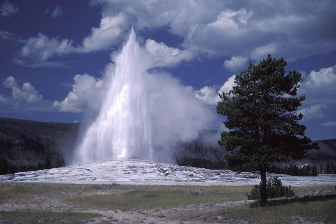 Yellowstone Lower Loop Full-Day Tour - Lake Yellowstone on the road