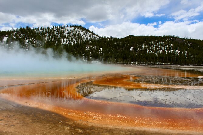 Yellowstone Lower Loop Full-Day Tour - Hayden Valley and the search for wildlife