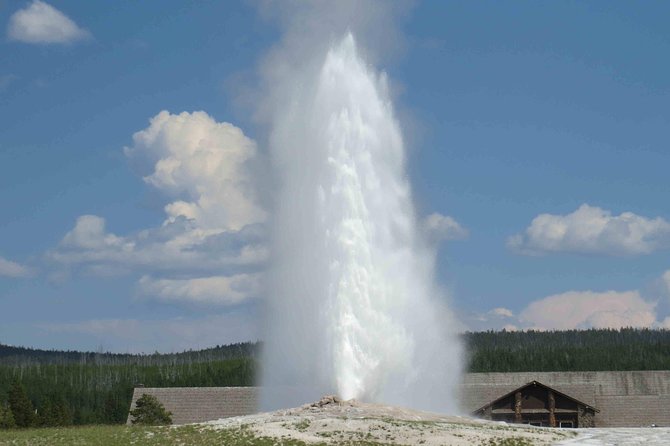 Yellowstone National Park - Full-Day Lower Loop Tour from Jackson - Why this Lower Loop day works from Jackson