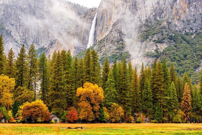 Yosemite Highlights & Giant Sequoias Day Tour from San Francisco - Key points to know before booking