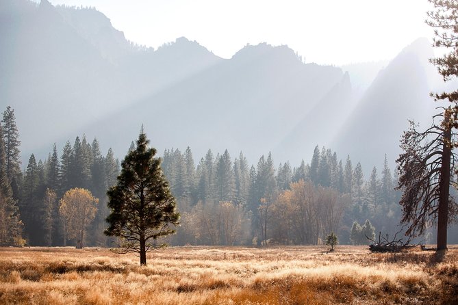 Yosemite Highlights & Giant Sequoias Day Tour from San Francisco - Why this Yosemite day trip works