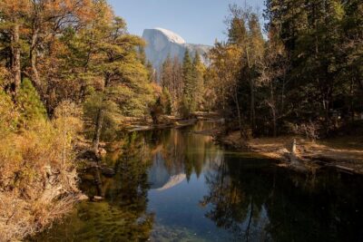 Yosemite Highlights & Giant Sequoias Day Tour from San Francisco