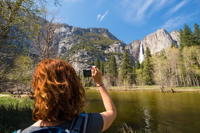 Yosemite Highlights & Giant Sequoias Day Tour from San Francisco - El Capitan puts climbers in perspective
