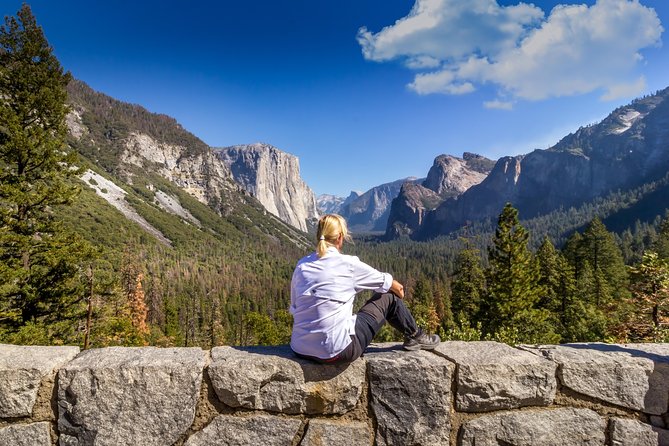 Yosemite Highlights & Giant Sequoias Day Tour from San Francisco - Walking among the giant sequoias