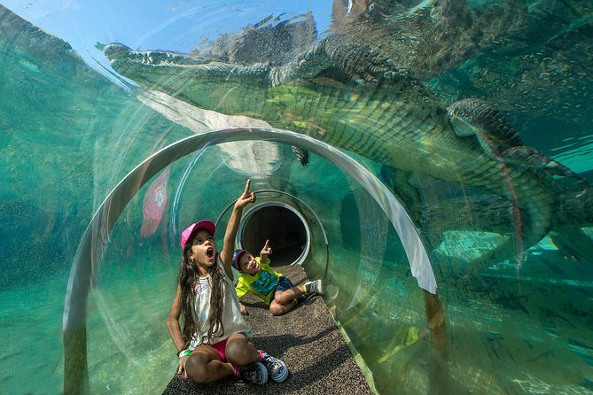 Zoo Miami Ticket with Optional Upgrade - Elephants, giraffes, big cats, and primates