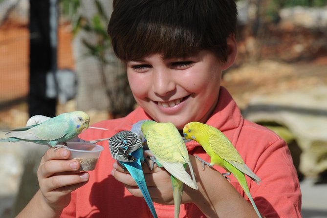 Zoo Miami Ticket with Optional Upgrade - Wings of Asia Aviary and its free-flying birds
