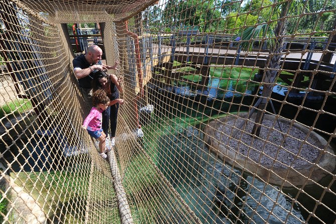 Zoo Miami Ticket with Optional Upgrade - A practical four-hour route